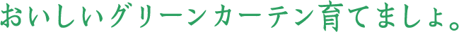 おいしいグリーンカーテン育てましょ。